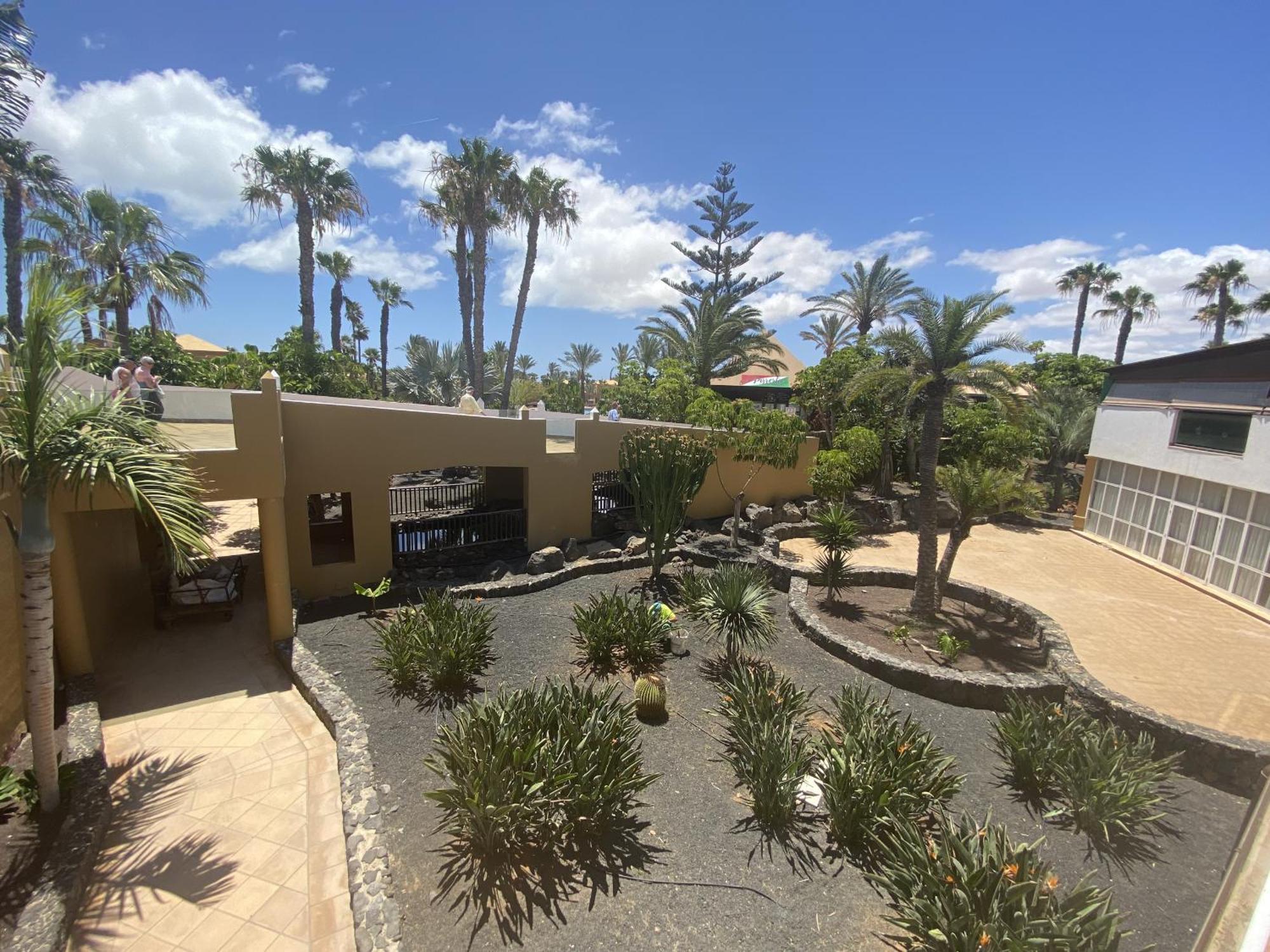 Casa Papagayo * Corralejo