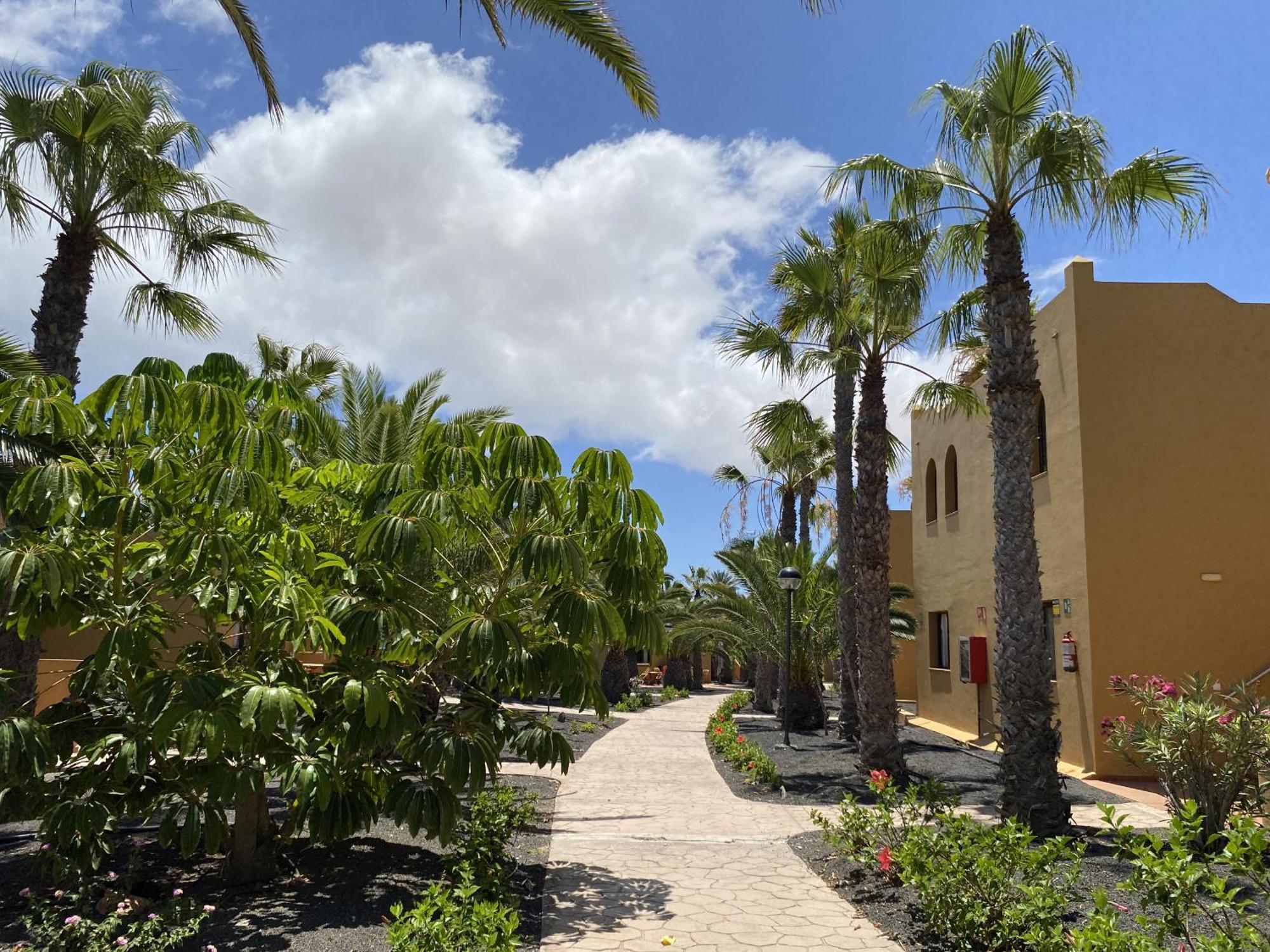 Casa Papagayo Appartamento *
